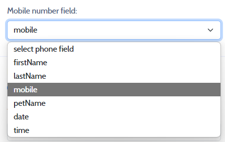 Mobile phone field in Excel